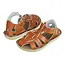 Salt Water Sandals Shark Tan