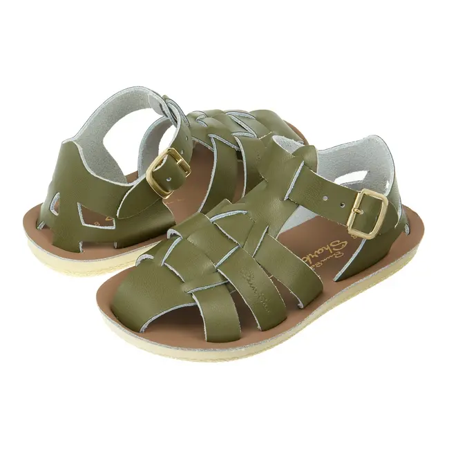 Salt Water Sandals Shark Olive