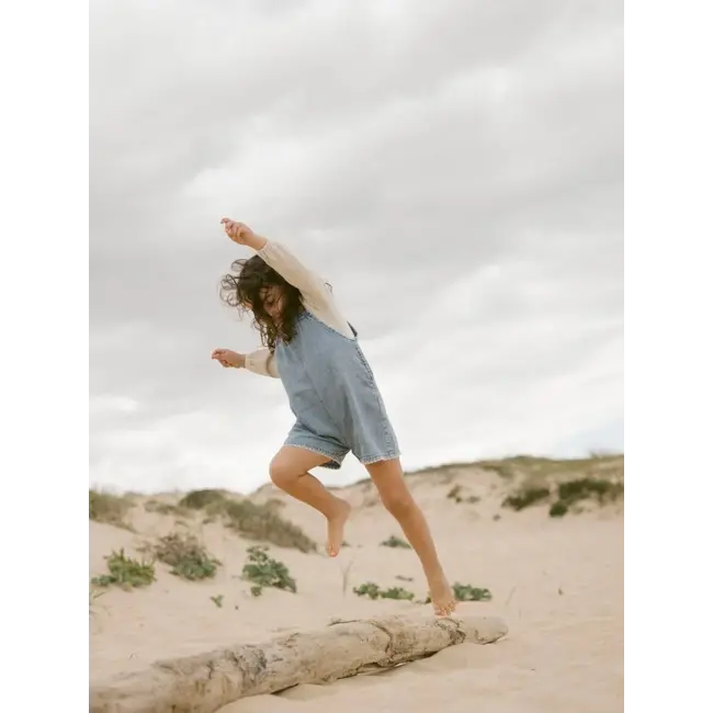 Lil' Atelier NMFDARLA LS SLIM TOP LIL turtledov mel