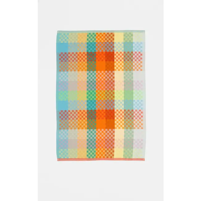Foekje Fleur Tea towel #57A checkered check