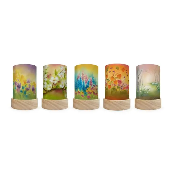 Toverlux Lichtkaarten Lantaarn Baukje Exler set  Seasons