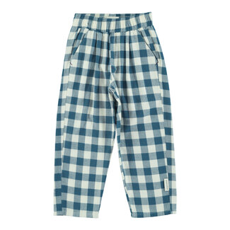 Piupiuchick Unisex trousers | Blue & white checkered