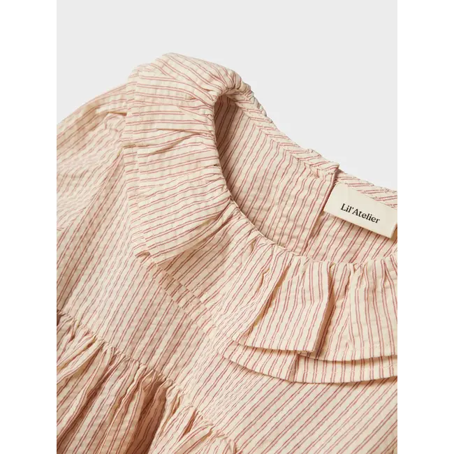 Lil' Atelier NMFLUCIA LS DRESS LIL Turtledove