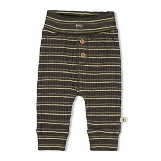 Feetje Broek rib met streep - Rawrsome