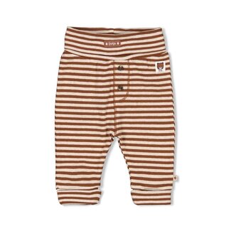 Feetje Broek streep - Wild World