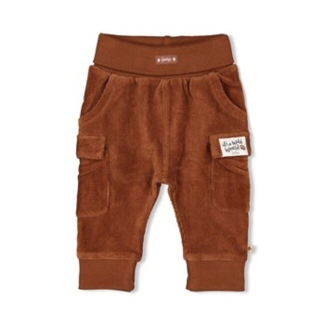 Feetje Broek velours rib - Wild World
