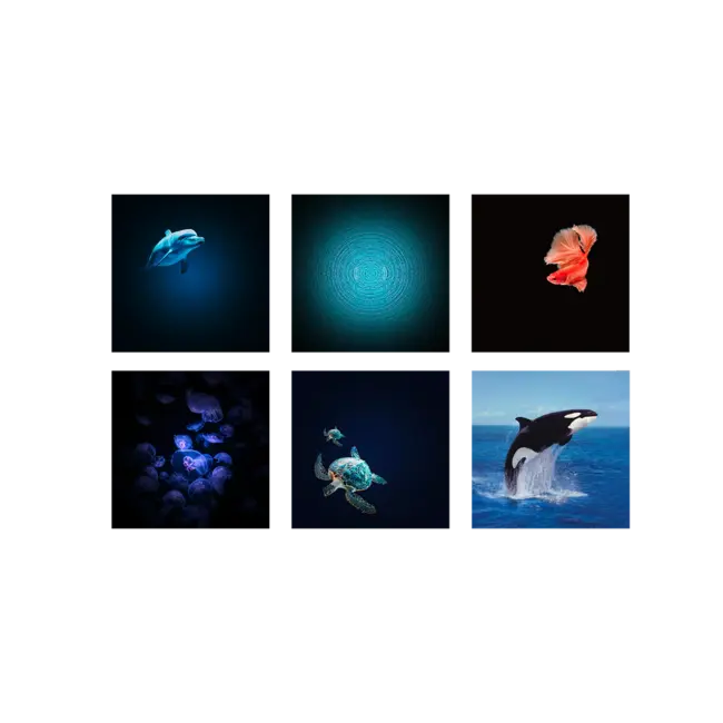 Kidywolf Kidystar projector Oceaan