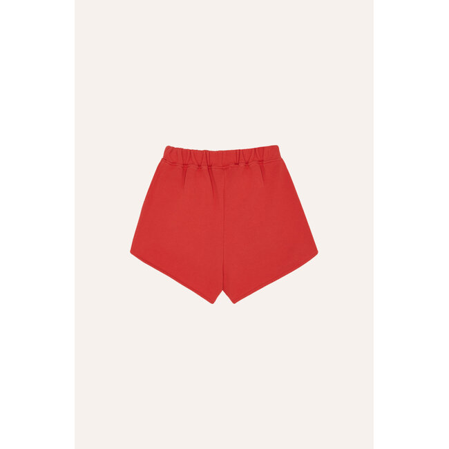 The Campamento Reading Lion Shorts RED