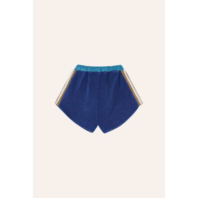 The Campamento Blue Color Block Shorts
