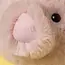 Jellycat Smudge Pig Original