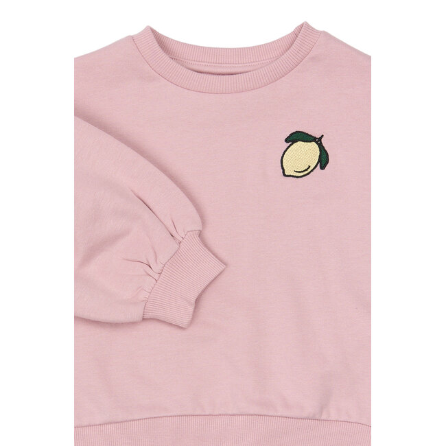 The New TNSTSapphire OS Sweatshirt