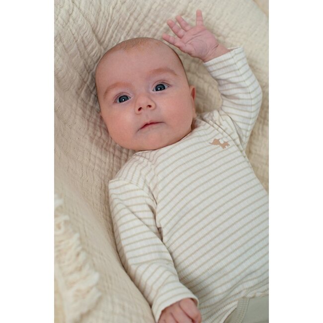 Feetje Longsleeve rib met streep - Elephant