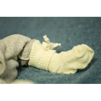 Hirsch natur Striksokjes natuur