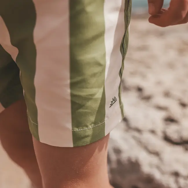 Salted Stories Wide Stripe | Swim Shorts