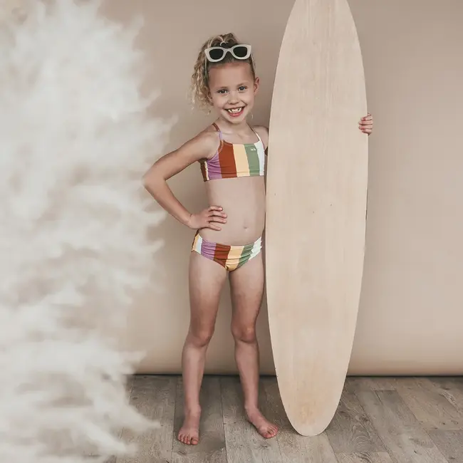 Salted Stories Multi Stripe | Bikini