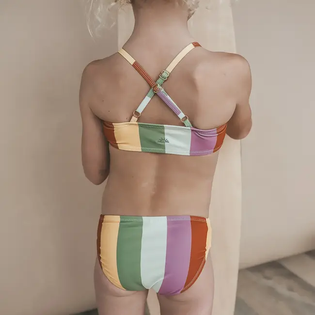Salted Stories Multi Stripe | Bikini