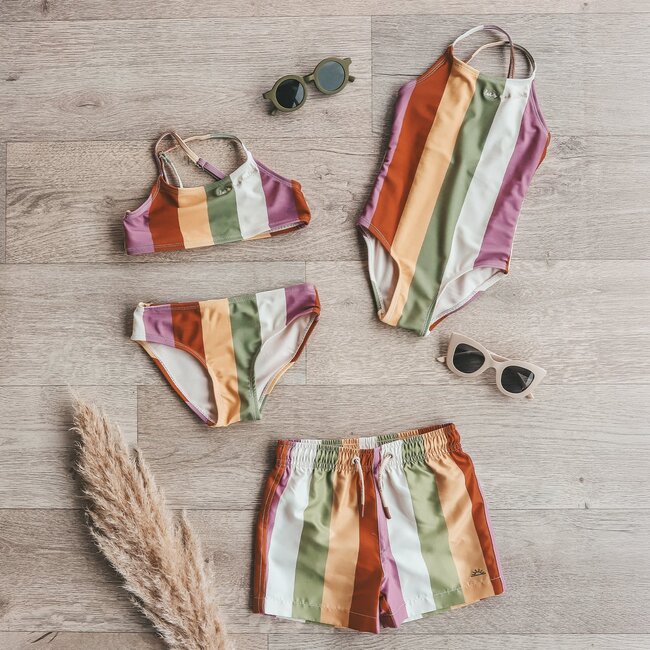 Salted Stories Multi Stripe | Swimsuit