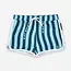 Beach & Bandits Salty Stripes Swim Trunks