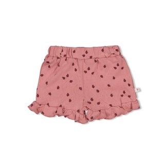 Feetje Short ajour rib AOP - Ladybug