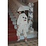 Konges Slojd JODY EMBROIDERY TEDDY JACKET GRS dots