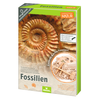 Moses Expeditie natuur uithakset fossielen