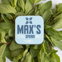 Spearmint Mints (35g) – BIO - THT 12/04/2024