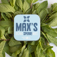 Spearmint Mints (35g) – BIO