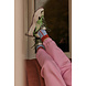 The Sticky Sis Club Sokken || Citroen || Hortensia Blue The Sticky Sis Club Sokken || Citroen || Hortensia Blue