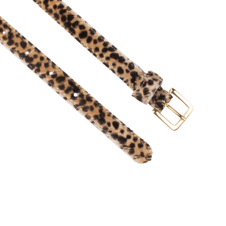 Petrol Petrol Riem || 20803 || Cheetah Brown Petrol Petrol Riem || 20803 || Cheetah Brown