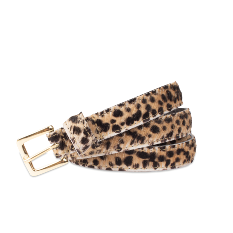 Petrol Petrol Riem || 20803 || Cheetah Brown Petrol Petrol Riem || 20803 || Cheetah Brown