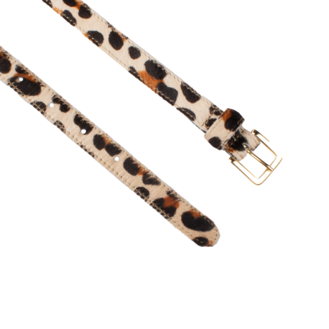 Petrol Petrol || 20803 || Panter Petrol Petrol || 20803 || Panter