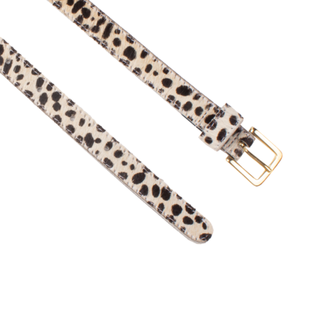 Petrol Petrol Riem ||20803 || Cheetah wit Petrol Petrol Riem ||20803 || Cheetah wit