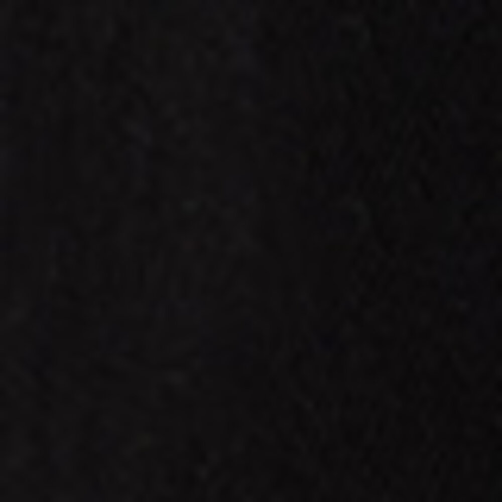 LEE Wide Leg Jeans ||  Stella A Line  || Clean Black