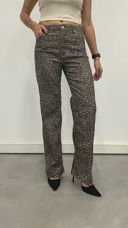 C.O.J Jeans || Sara || Leopard