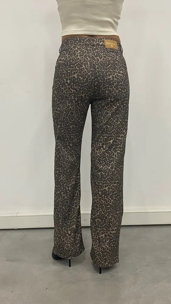C.O.J Jeans || Sara || Leopard
