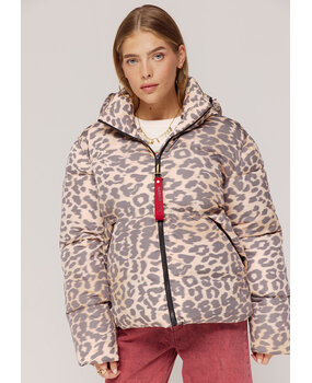 Harper & Yve Jack || Karly || Lexie Leopard