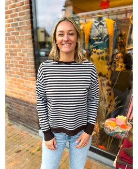 JtS Trui || ka8901  || Bruin