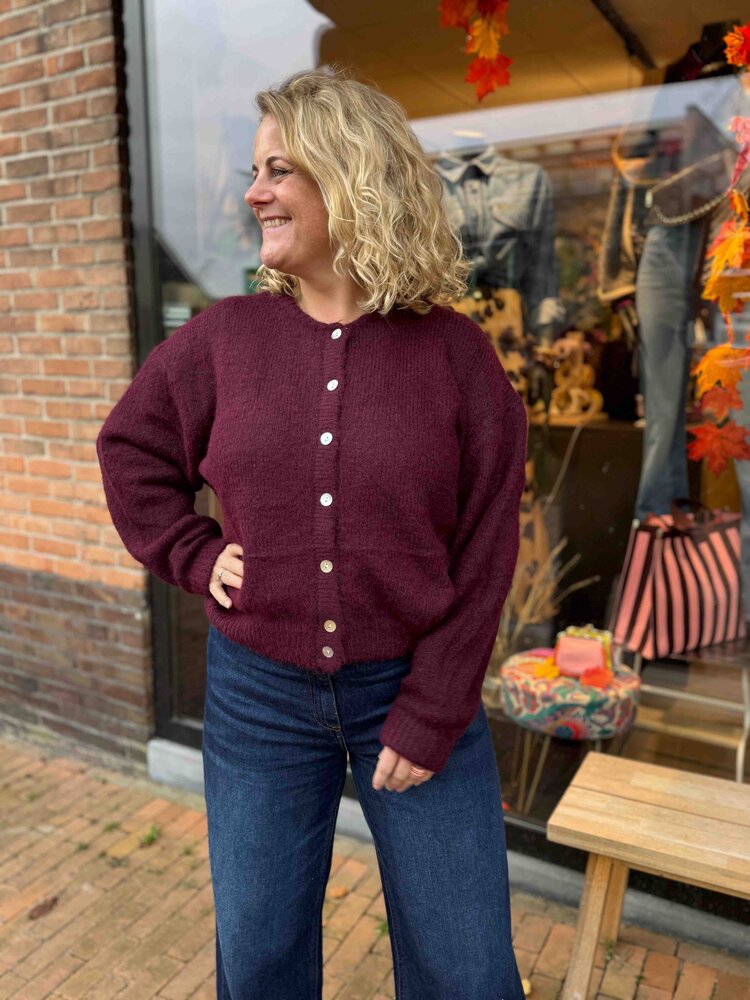 JtS Vest || 9970 || Wine Red en Bruin