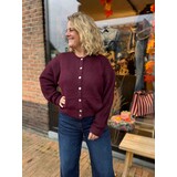 JtS Vest || 9970 || Wine Red en Bruin