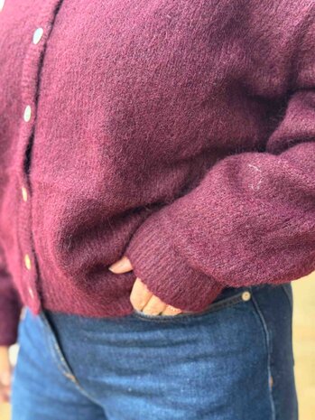 JtS Vest || 9970 || Wine Red en Bruin