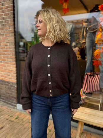 JtS Vest || 9970 || Wine Red en Bruin