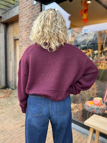 JtS Vest || 9970 || Wine Red en Bruin