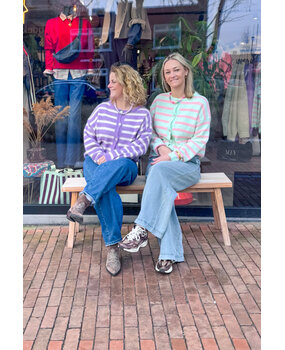 JtS Vest || Josje Streep vest ||