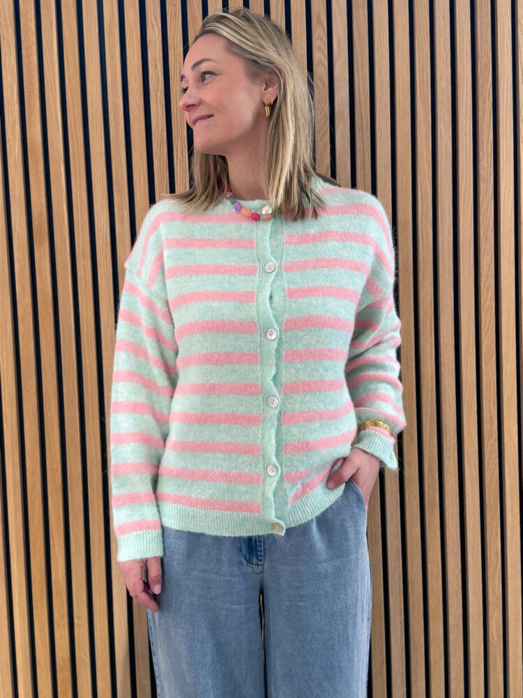 JtS Vest || Josje Streep vest ||