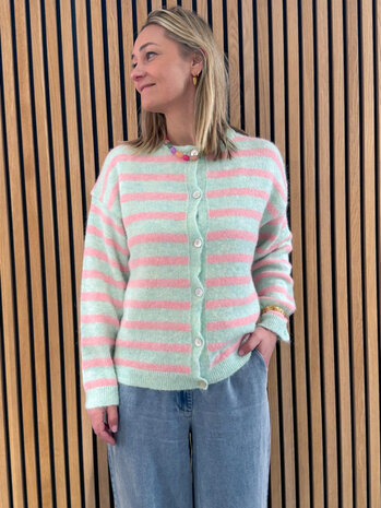 JtS Vest || Josje Streep vest ||