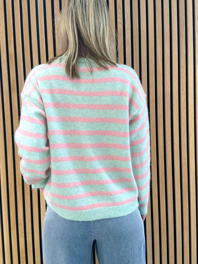 JtS Vest || Josje Streep vest ||