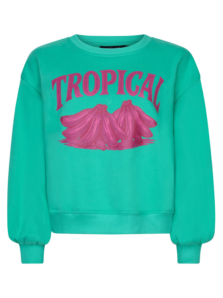 YDENCE Sweater || Tropical || Sea Green