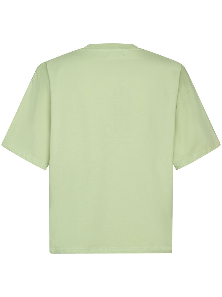 YDENCE T-shirt  | Tropical || Soft Green