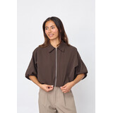 Sisterspoint Jack || Nelly-ja || Dark Brown