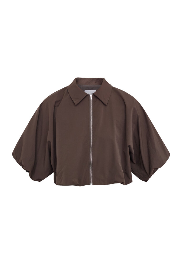 Sisterspoint Jack || Nelly-ja || Dark Brown